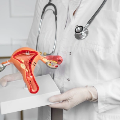 Gynaecology Gynaecology