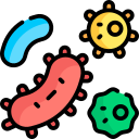 bacteria