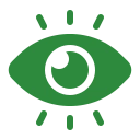 Vision Icon